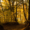 Path