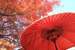 紅葉の中の一服