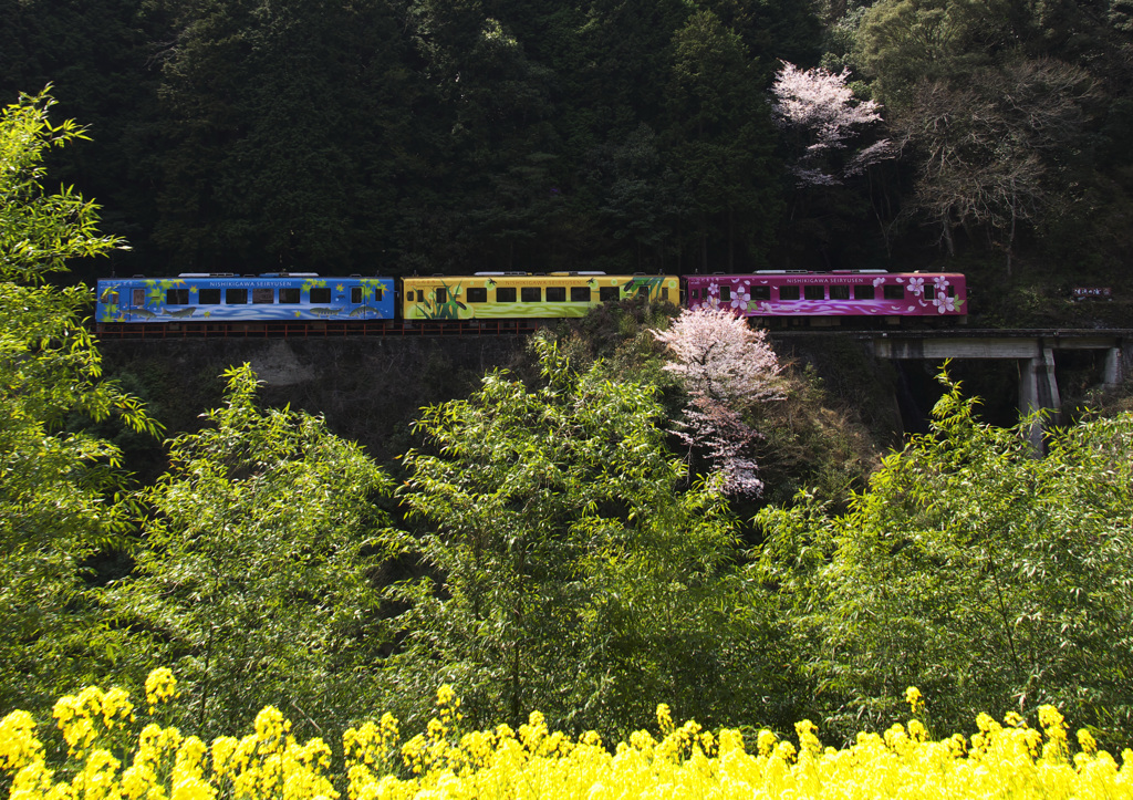 春色の列車に乗って