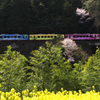 春色の列車に乗って