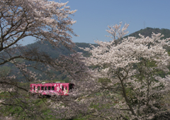 錦川清流線ひだまり号