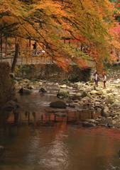 子供も紅葉狩