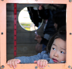 かぐや姫十三夜