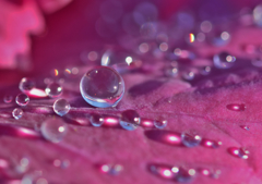 水晶玉占い