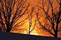 美瑛の夕日