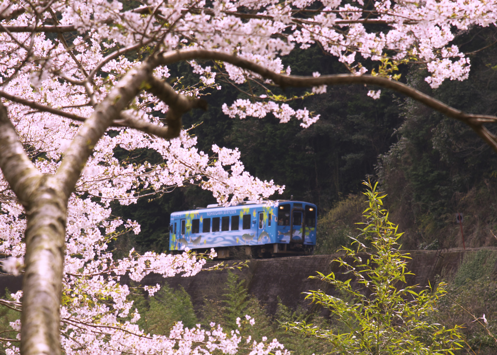 錦川清流線　3