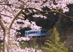 錦川清流線　3