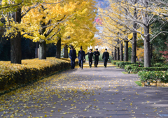 春ちゃん写真館　10）