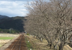 錦川清流線　３）ロケハン