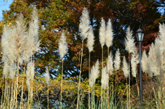 春ちゃん写真館　2）