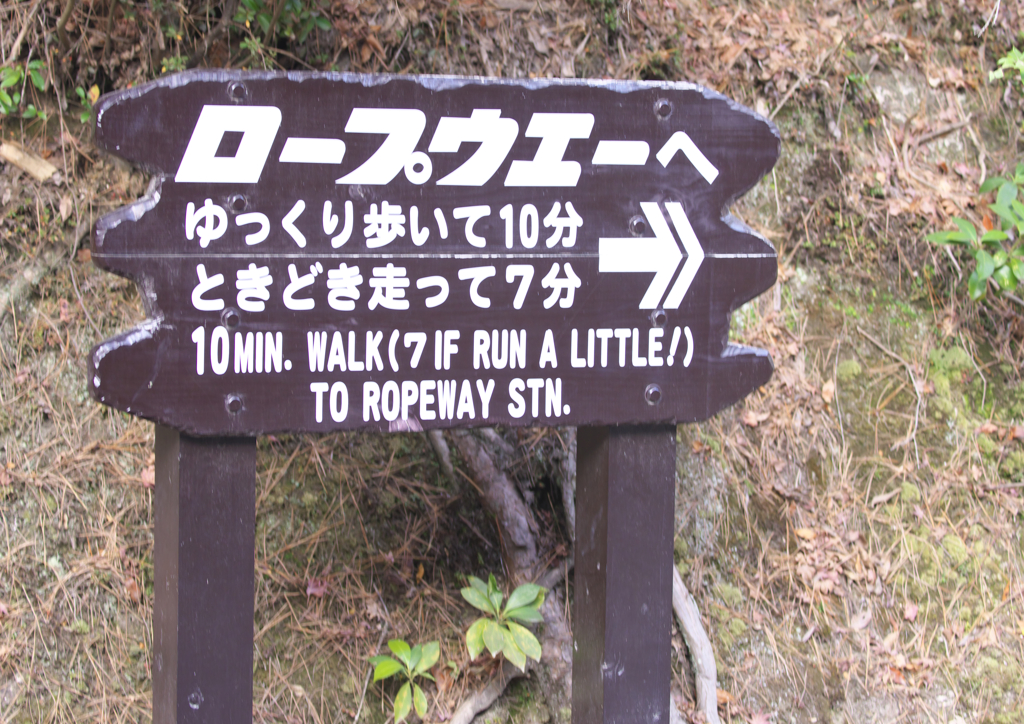 まあるいさん限定　2）世界遺産の島で