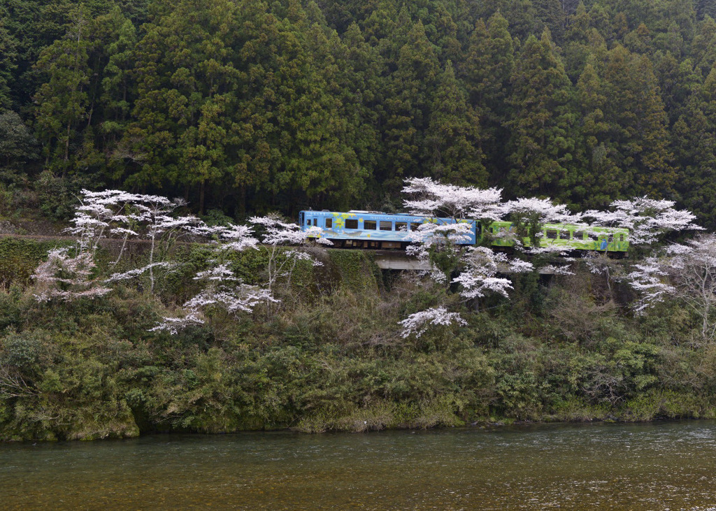 錦川清流線　1