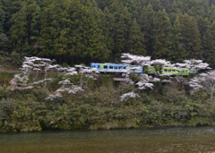 錦川清流線　1