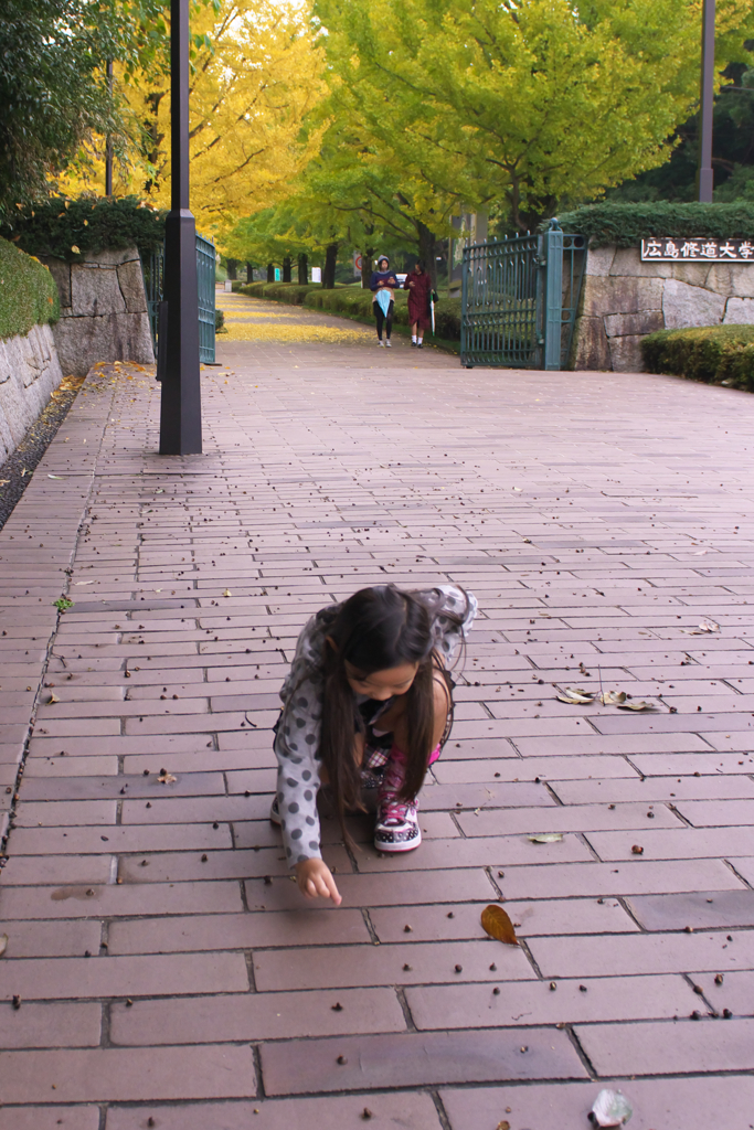 どんぐり拾い　2）