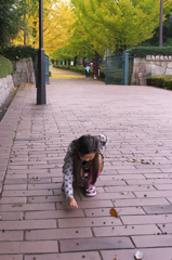 どんぐり拾い　2）