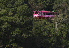 錦川清流線1