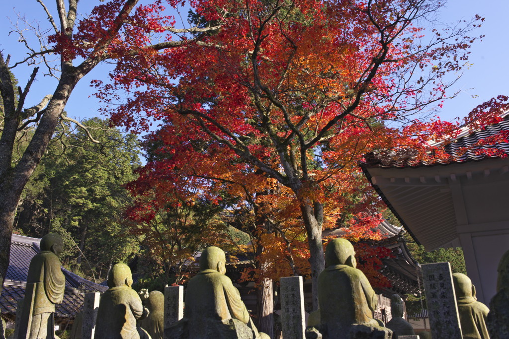 地蔵さんも紅葉狩