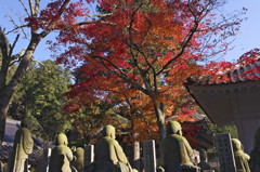 地蔵さんも紅葉狩