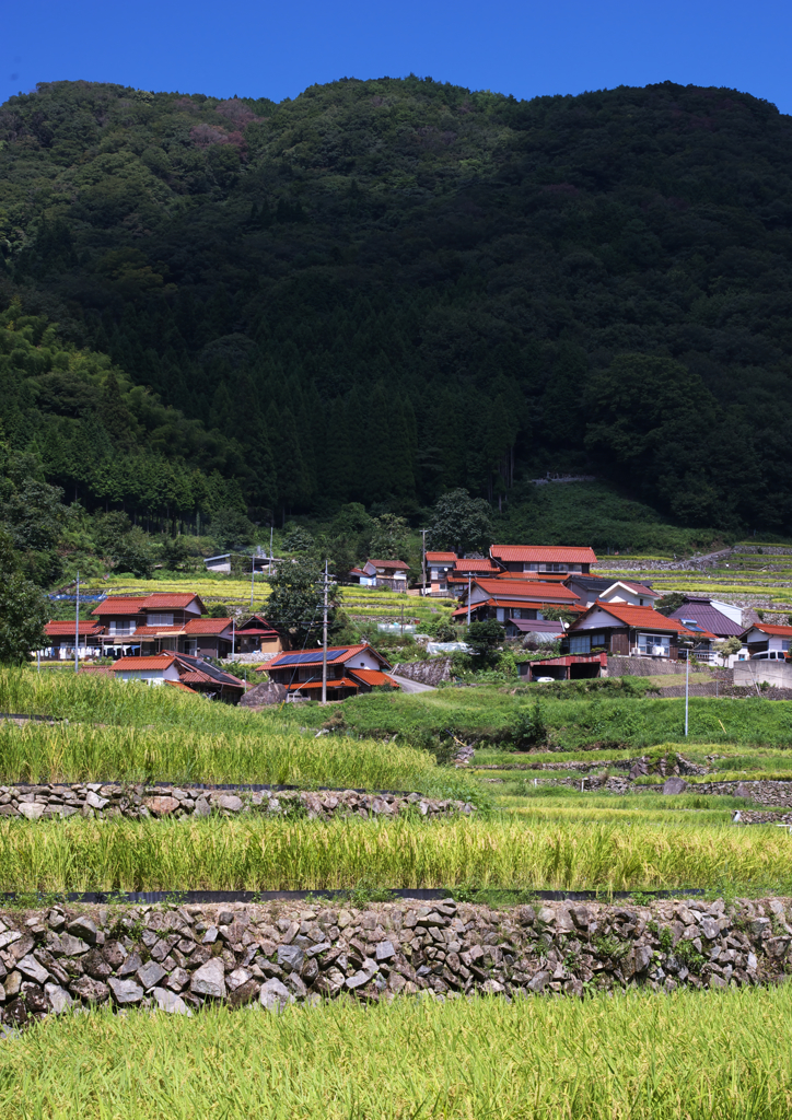 赤瓦の村