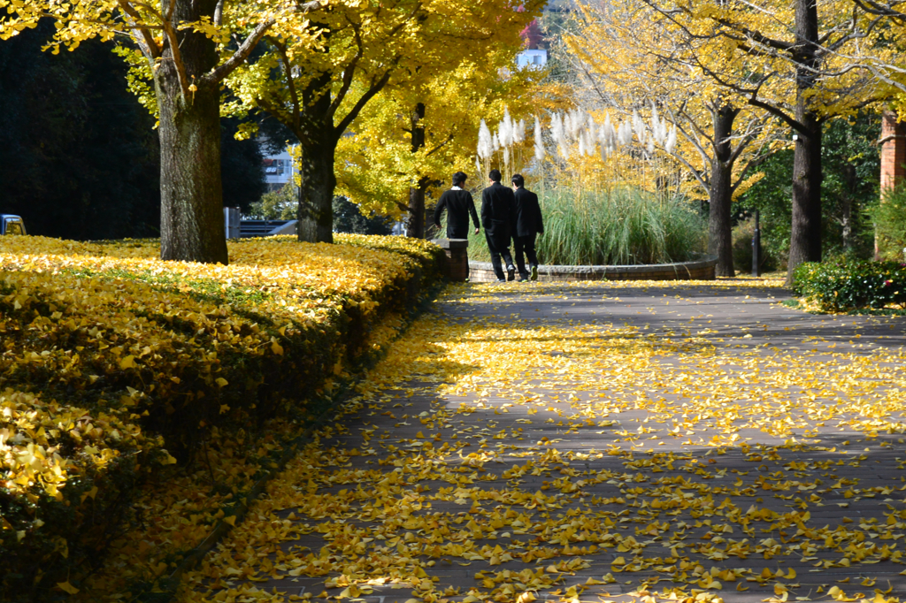 春ちゃん写真館　6）