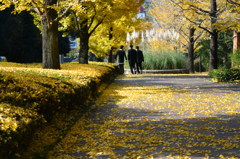 春ちゃん写真館　6）