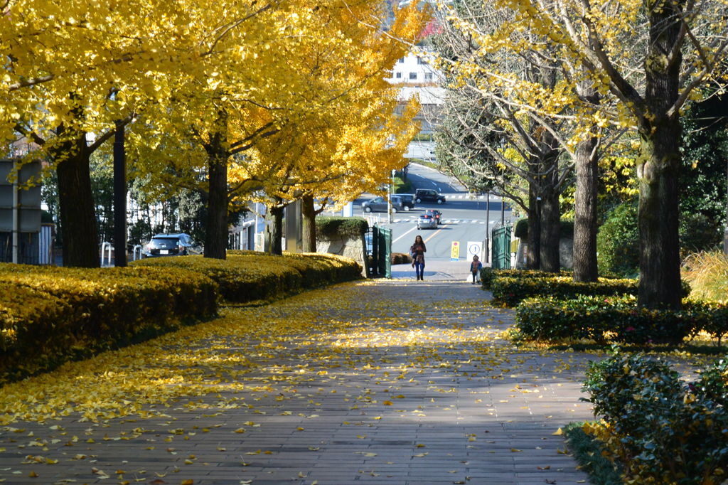 春ちゃん写真館　4）