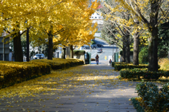 春ちゃん写真館　4）