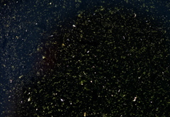 星空？