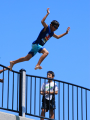 ダイブ　夏ヴァージョン
