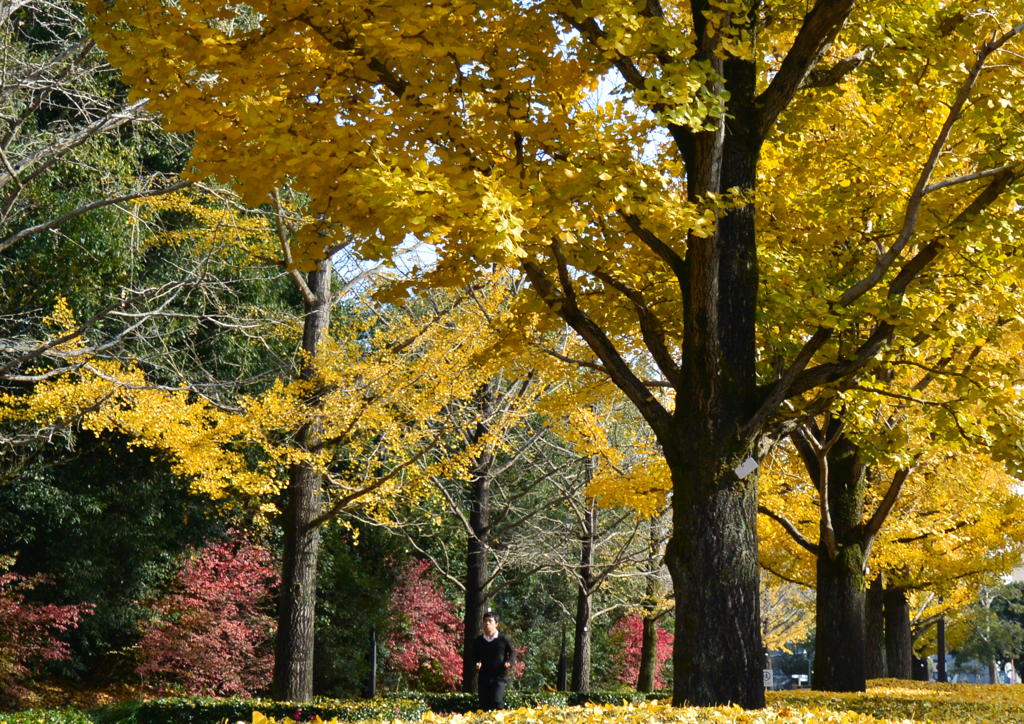 春ちゃん写真館　7）