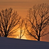 雪原の夕日