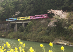 錦川清流線　１）