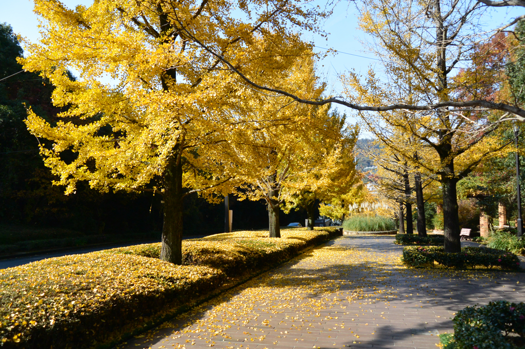 春ちゃん写真館　1）