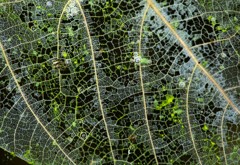 Google　Earth私の町
