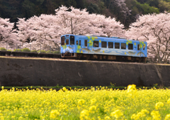 錦川清流線　２）