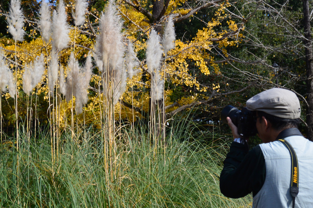 春ちゃん写真館　8）