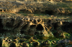 日本にも古代穴居群