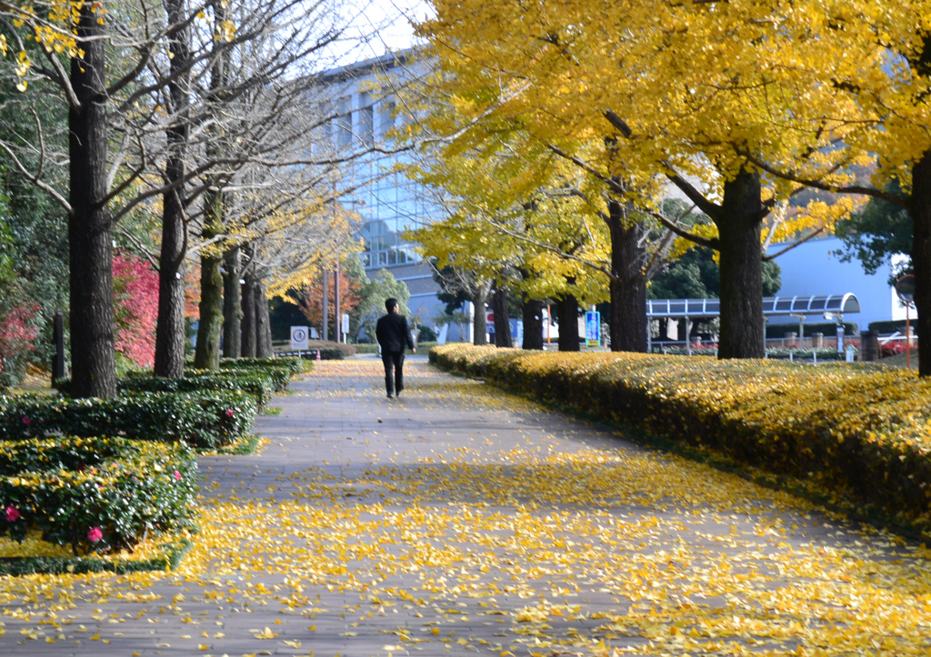春ちゃん写真館　9）