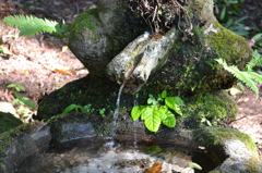 湧き水