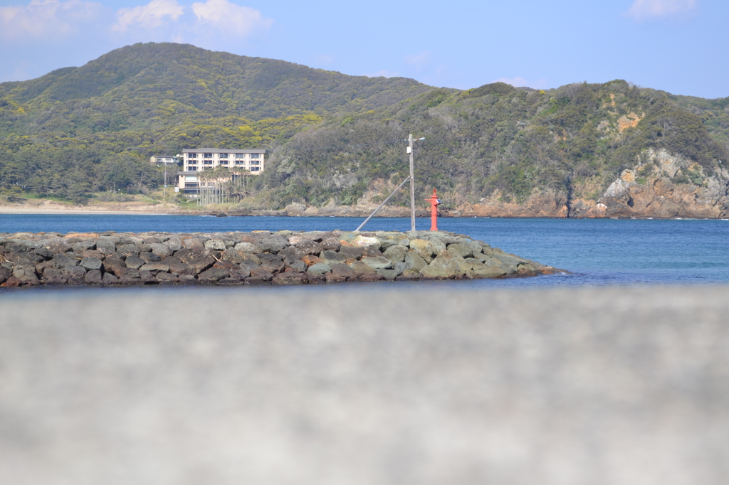 海