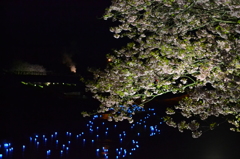 夜桜イベント『夜桜☆流れ星』01
