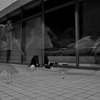 錬磨の陰