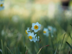 葛西臨海公園１