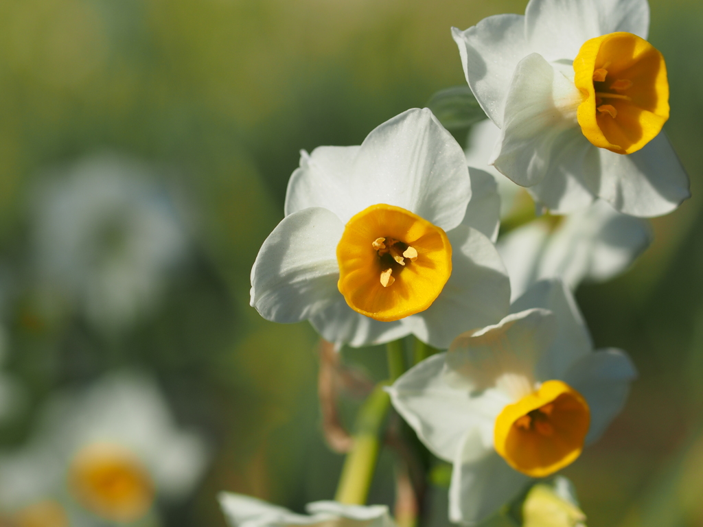 葛西臨海公園２