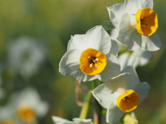 葛西臨海公園２