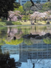 小石川後楽園3