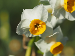 葛西臨海公園５