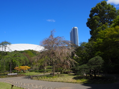 青空と大きな卵