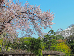 小石川後楽園５