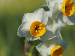 葛西臨海公園３